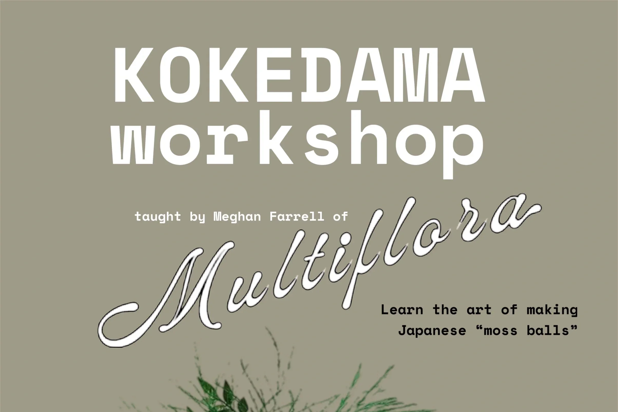 Kokedama Workshop @ Working Loose