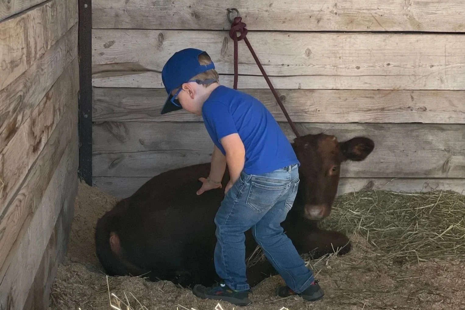 Blue Hill area farmers and food makers represent at Common Ground Fair