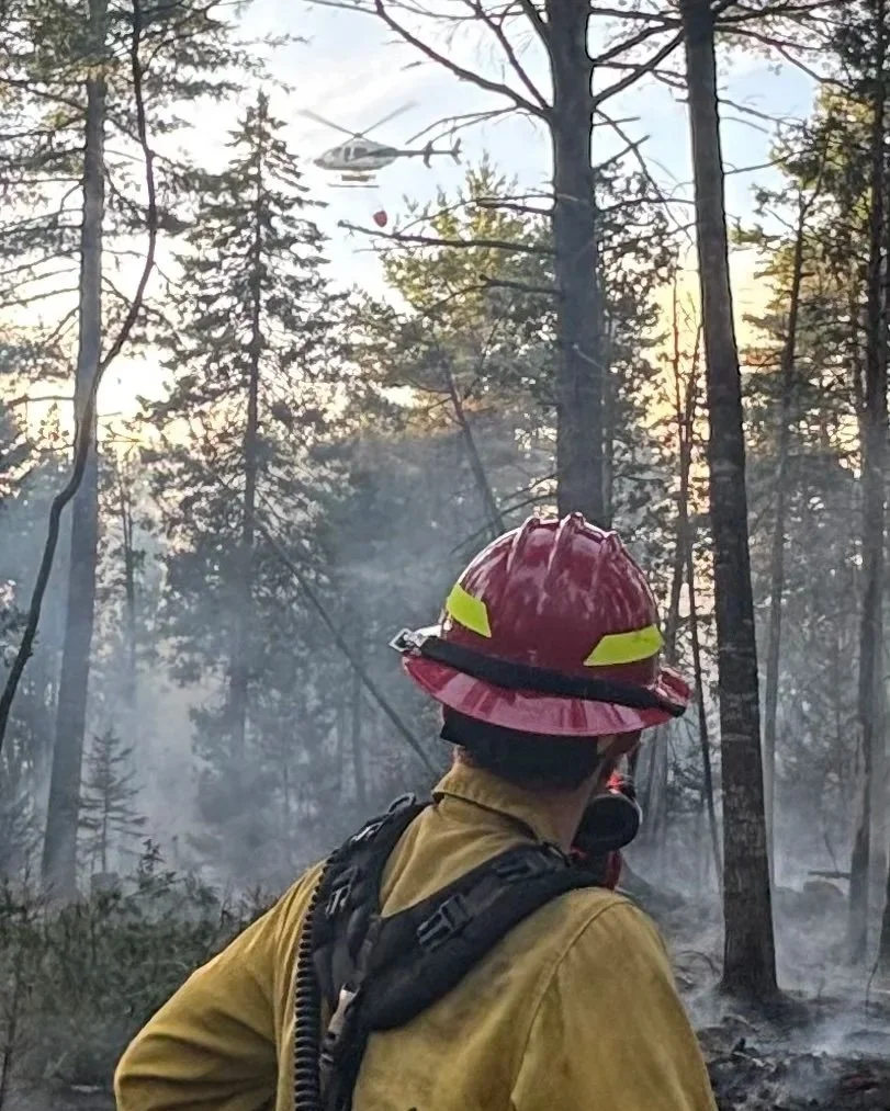 ‘The forest has changed’: Wildfire risk sparks concern despite recent rainfall