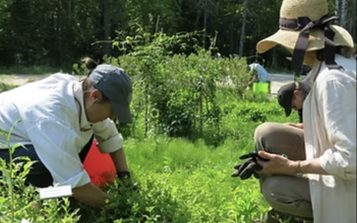 Garden Volunteer Day