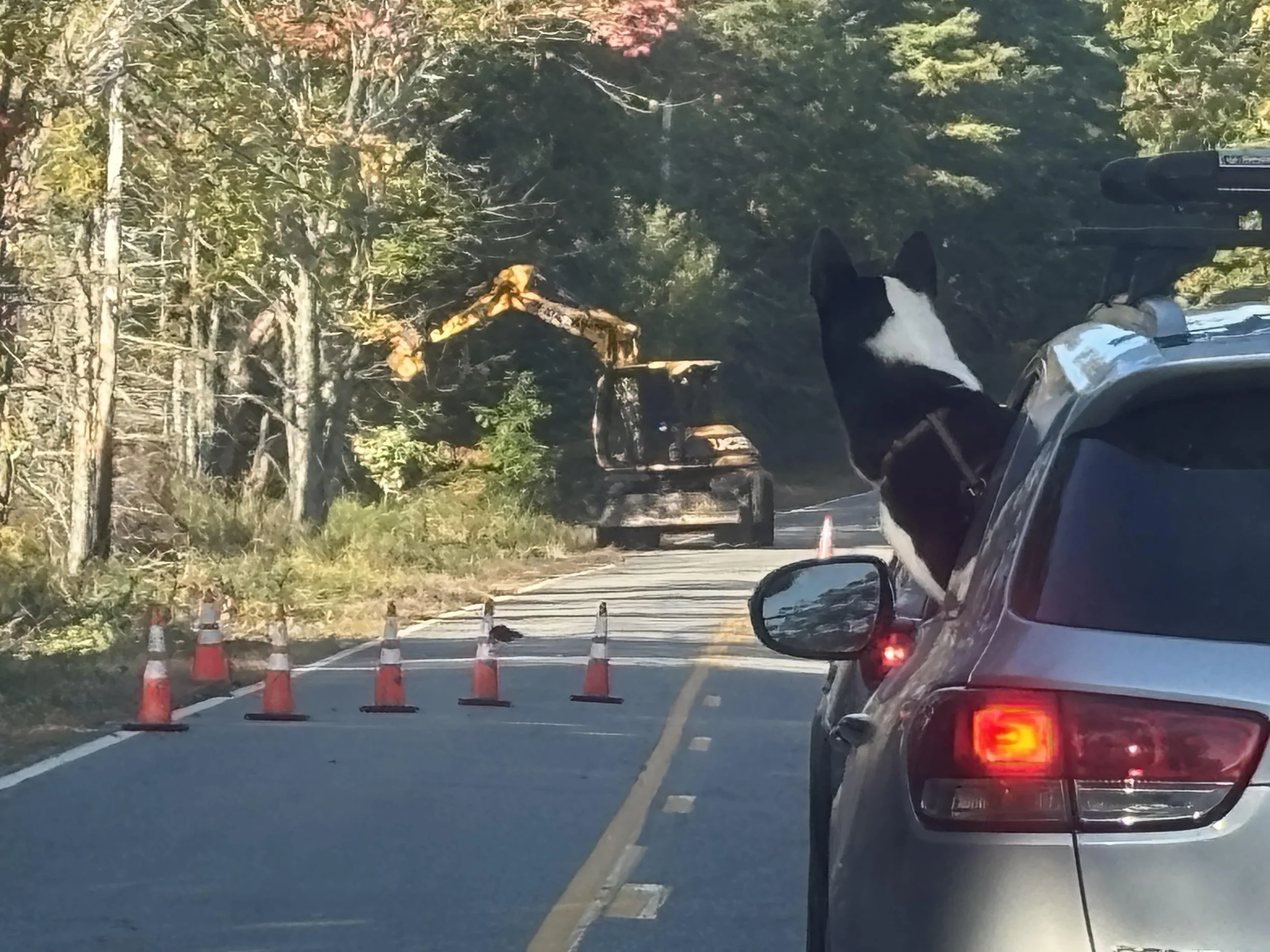 THE U-TURN: Stoplights in Penobscot?