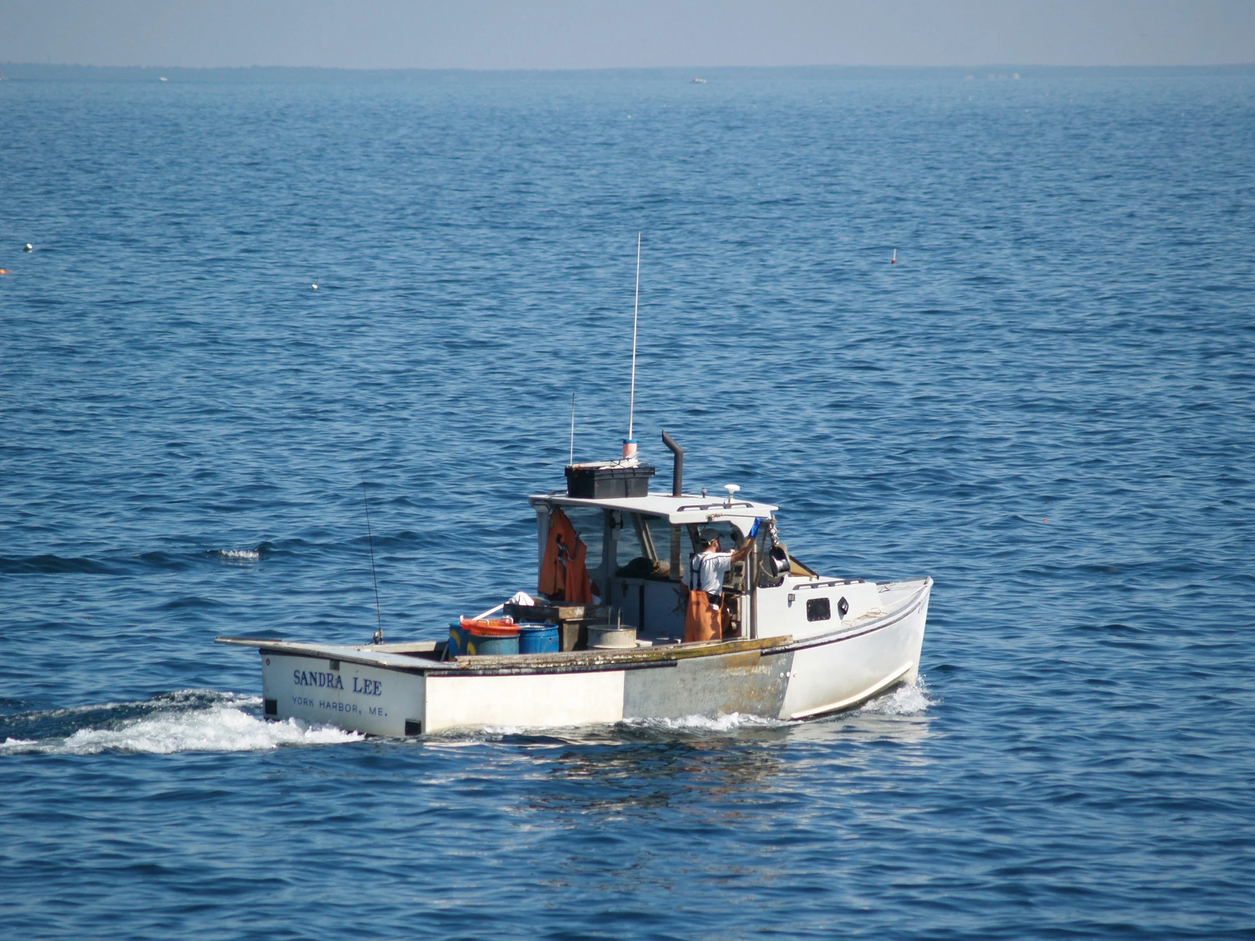 Behind on your lobster landings reports? This pizza party can help.