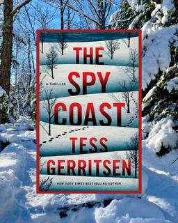 BOOK REVIEW: A spy novel in Maine where the spooks look familiar