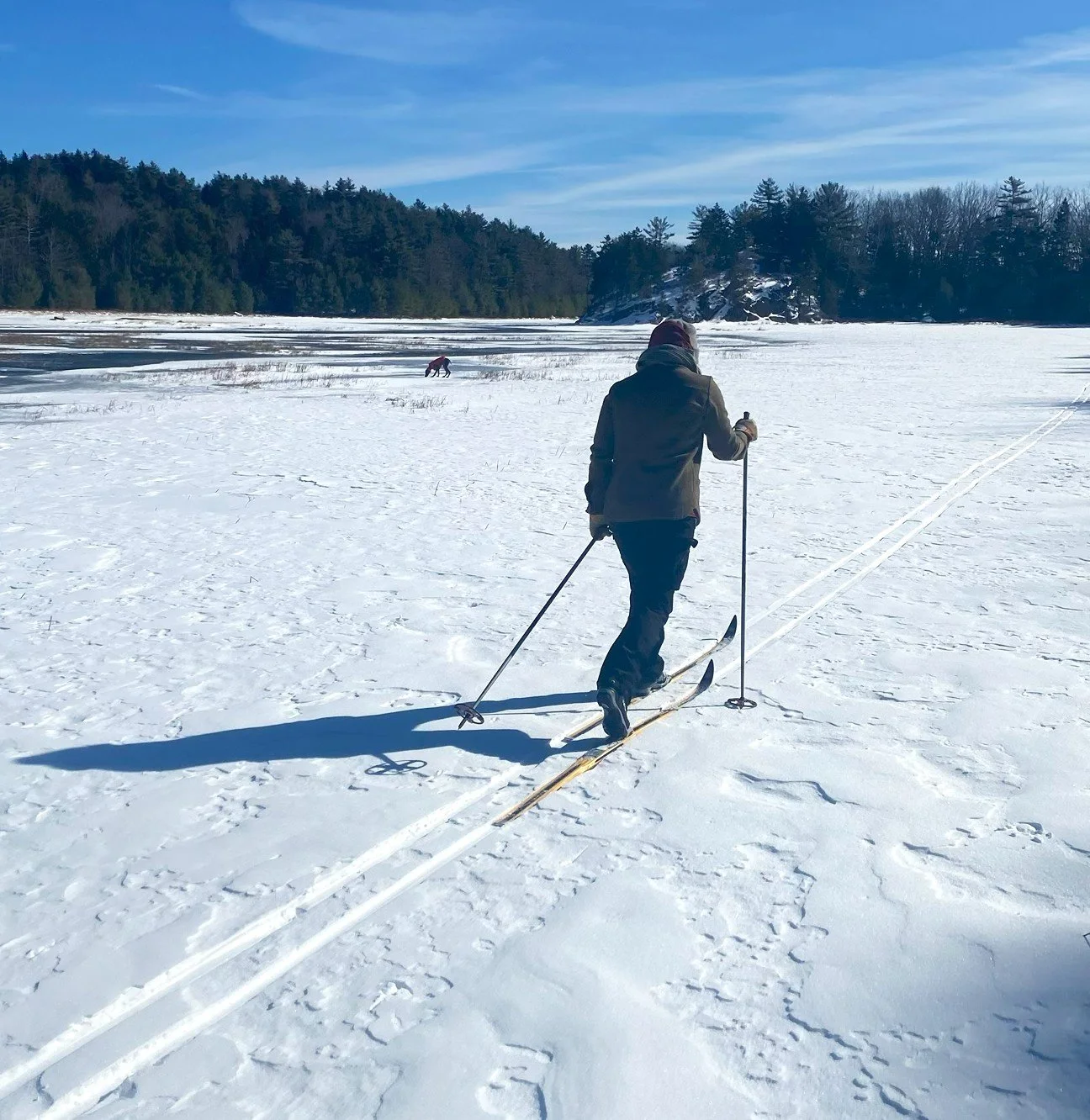 Ready for cross-country skiing? Local advice on where to go