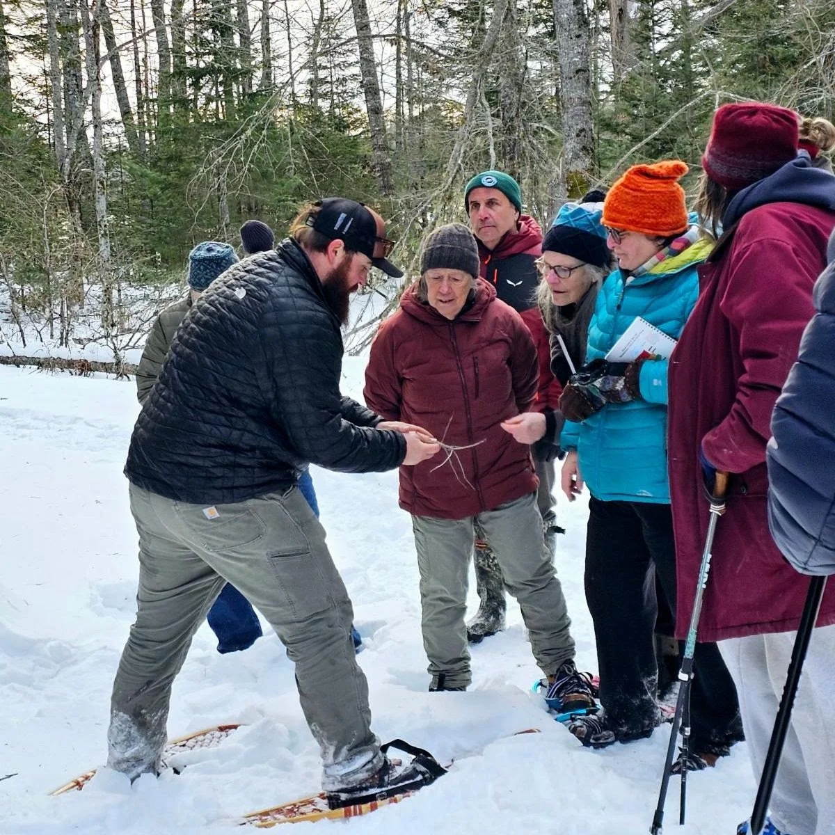 Winter Tree Identification Walk
