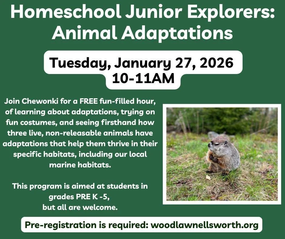 Homeschool Junior Explorers: Animal Adaptations