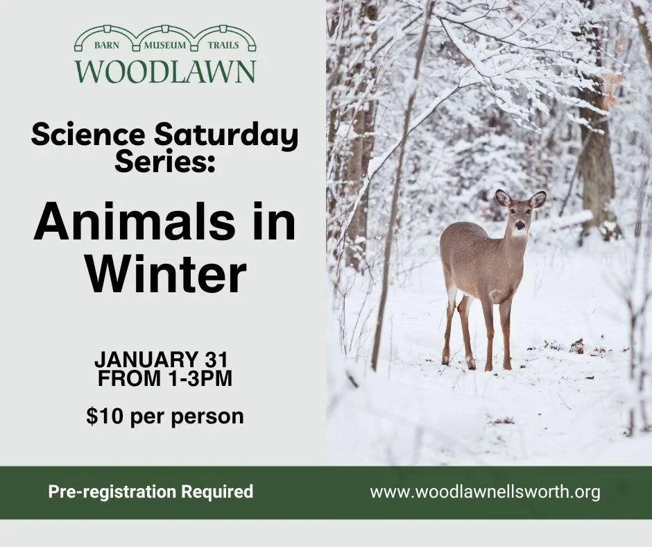 Science Saturday Series: Animals in Winter