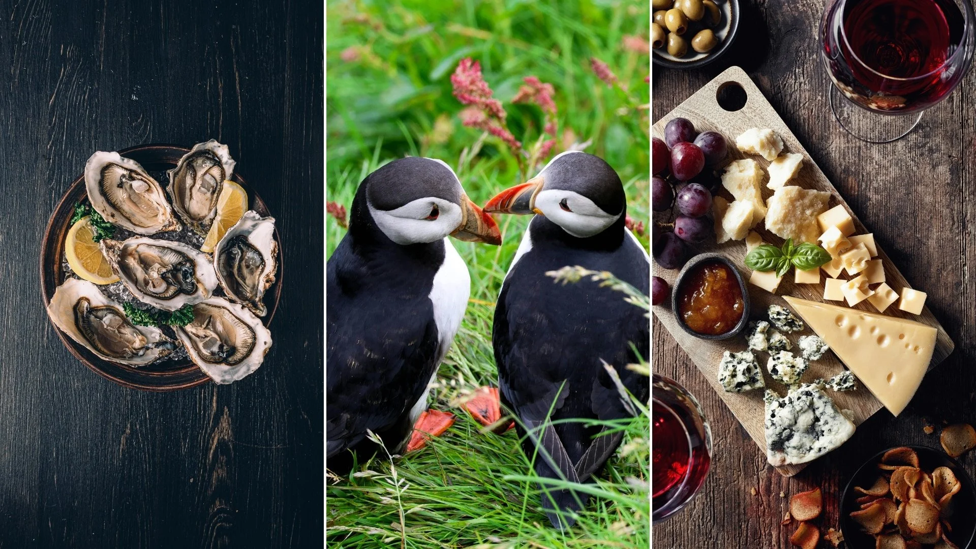 Valentine's Day at Shaw Institute 