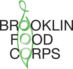 Fruit Tree Pruning Workshop