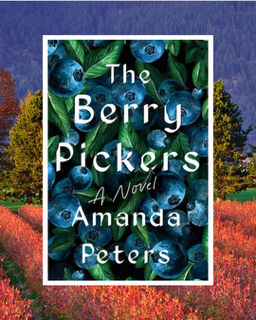 BOOK REVIEW: A Mi’kmaq child goes missing in ‘The Berry Pickers’