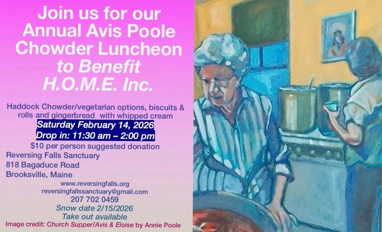 Annual Avis Poole Chowder Luncheon 