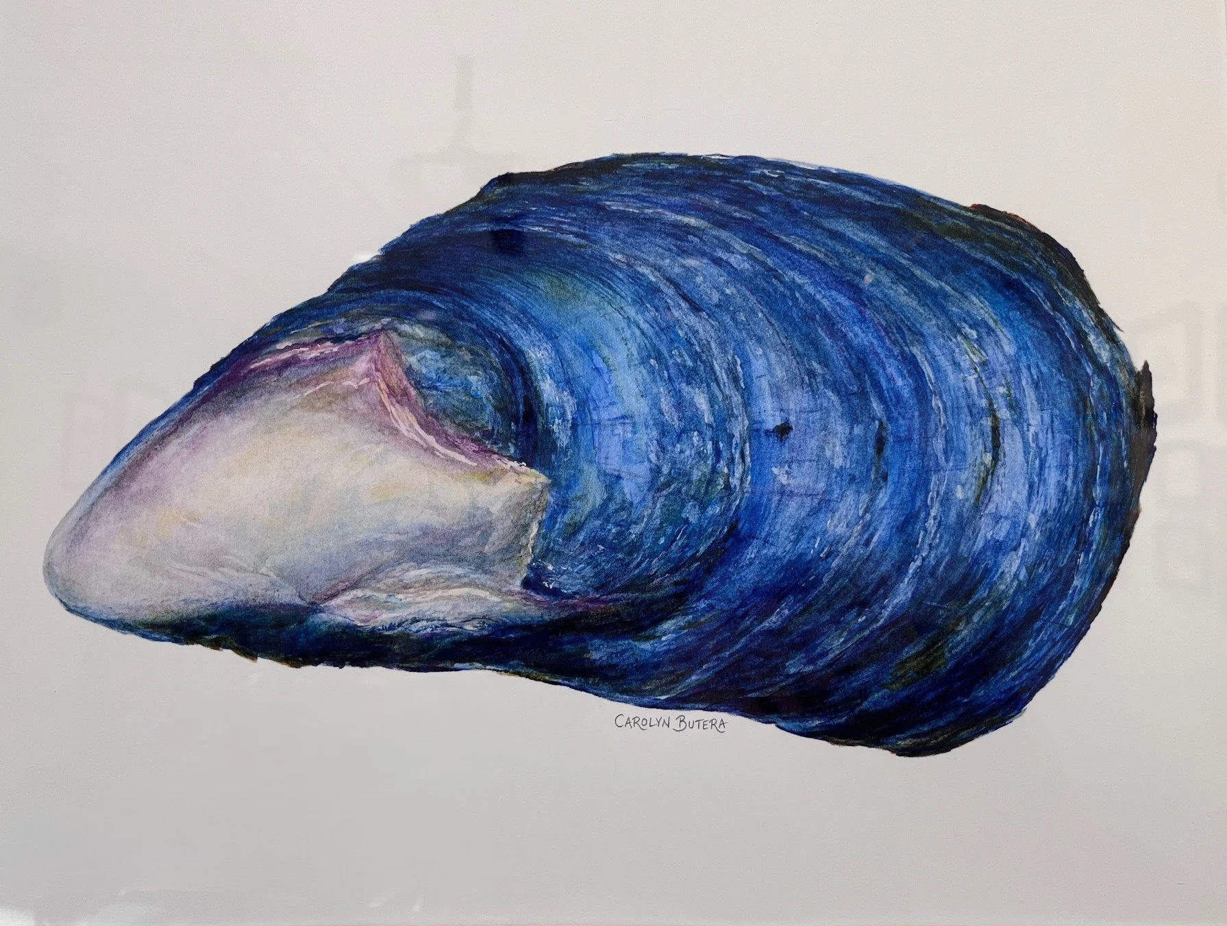 Library exhibit flexes lots of mussels