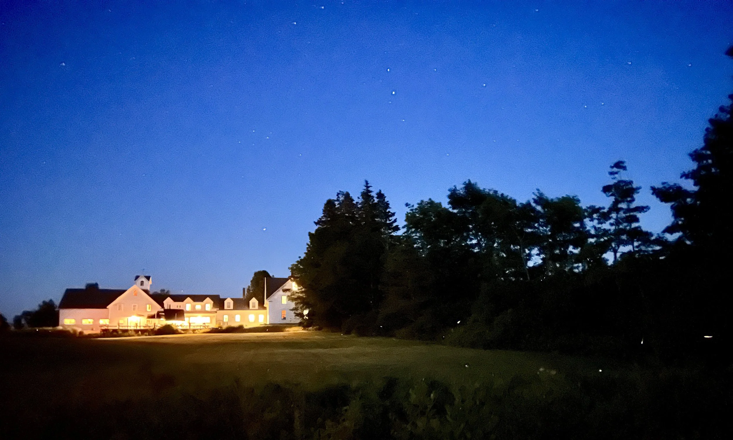 Sea Winds & fireflies.JPG