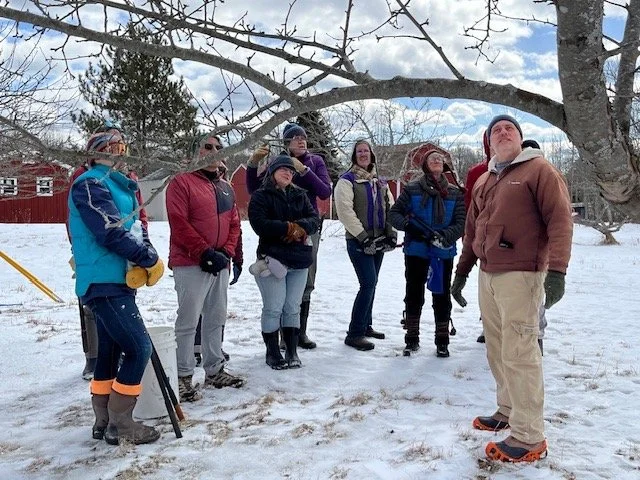 Fruit Tree Pruning Workshop