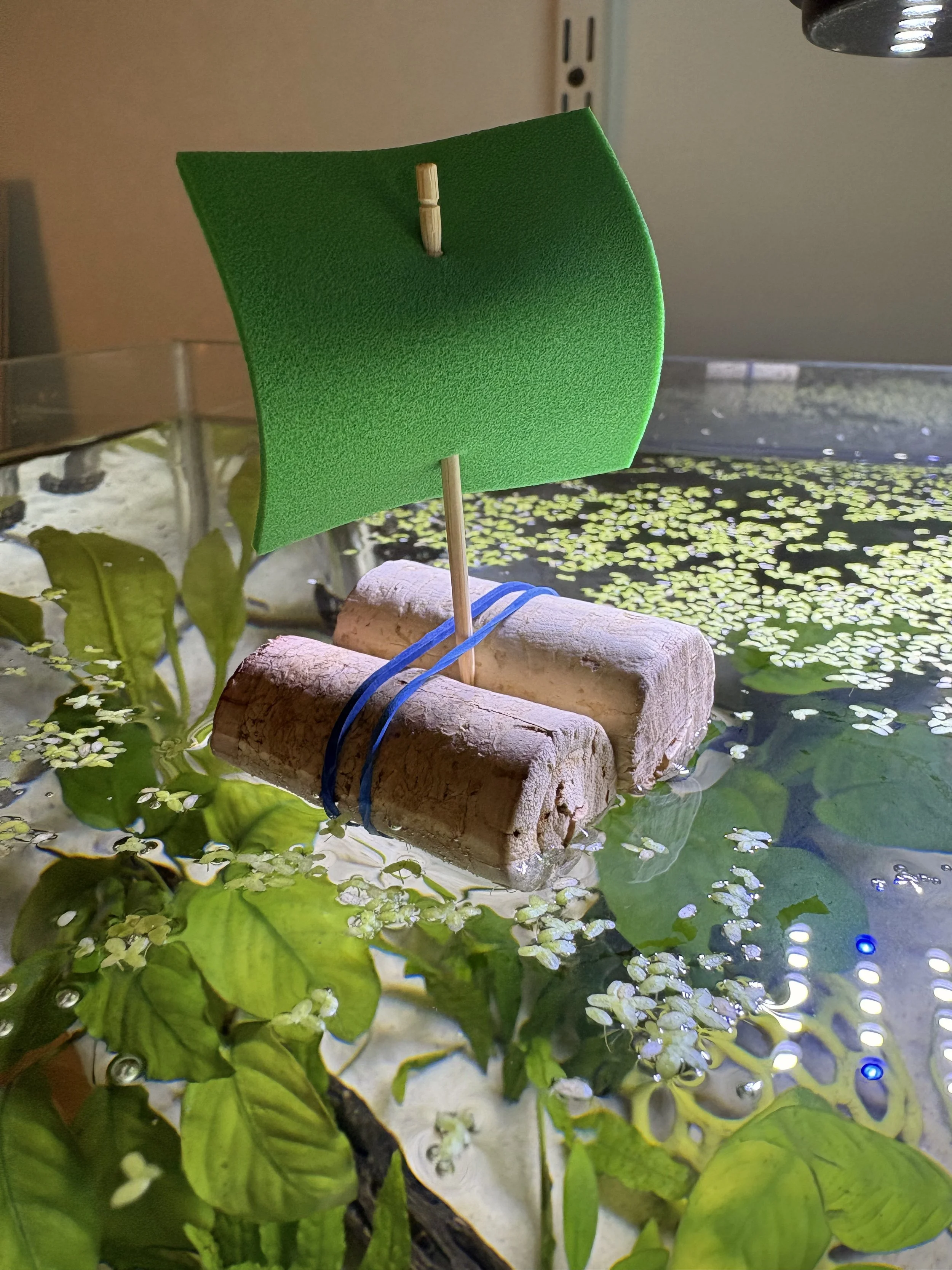 Coastal Kids Science Series with 4-H: Ahoy Young Sailors!