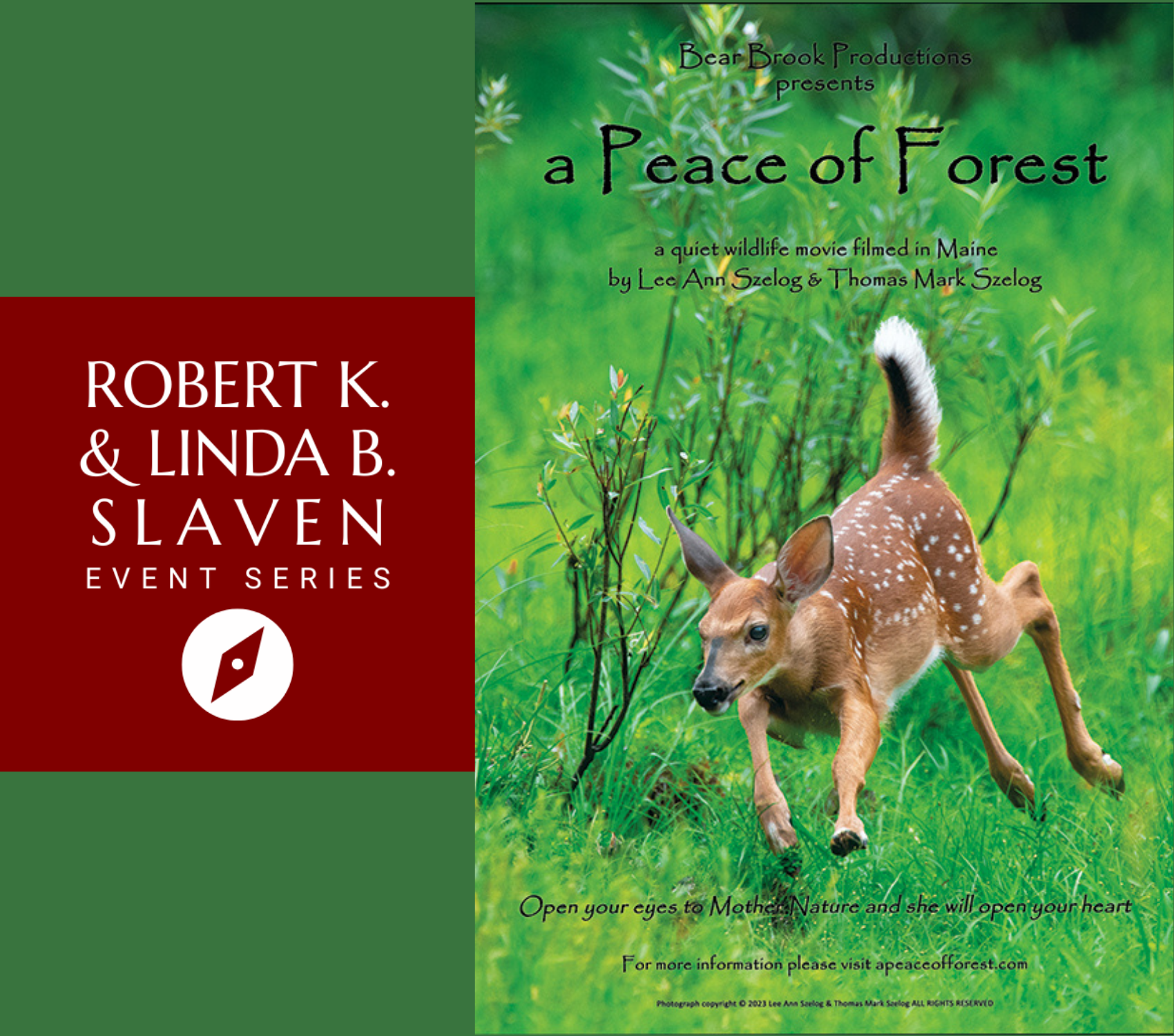 Documentary Series: 'a Peace of Forest' Screening