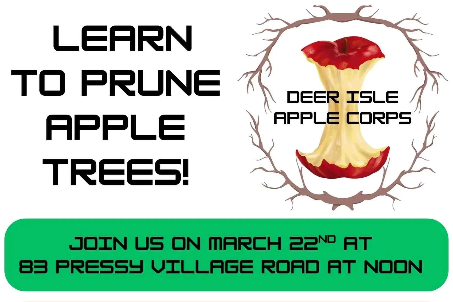 Apple Tree Pruning Workshop