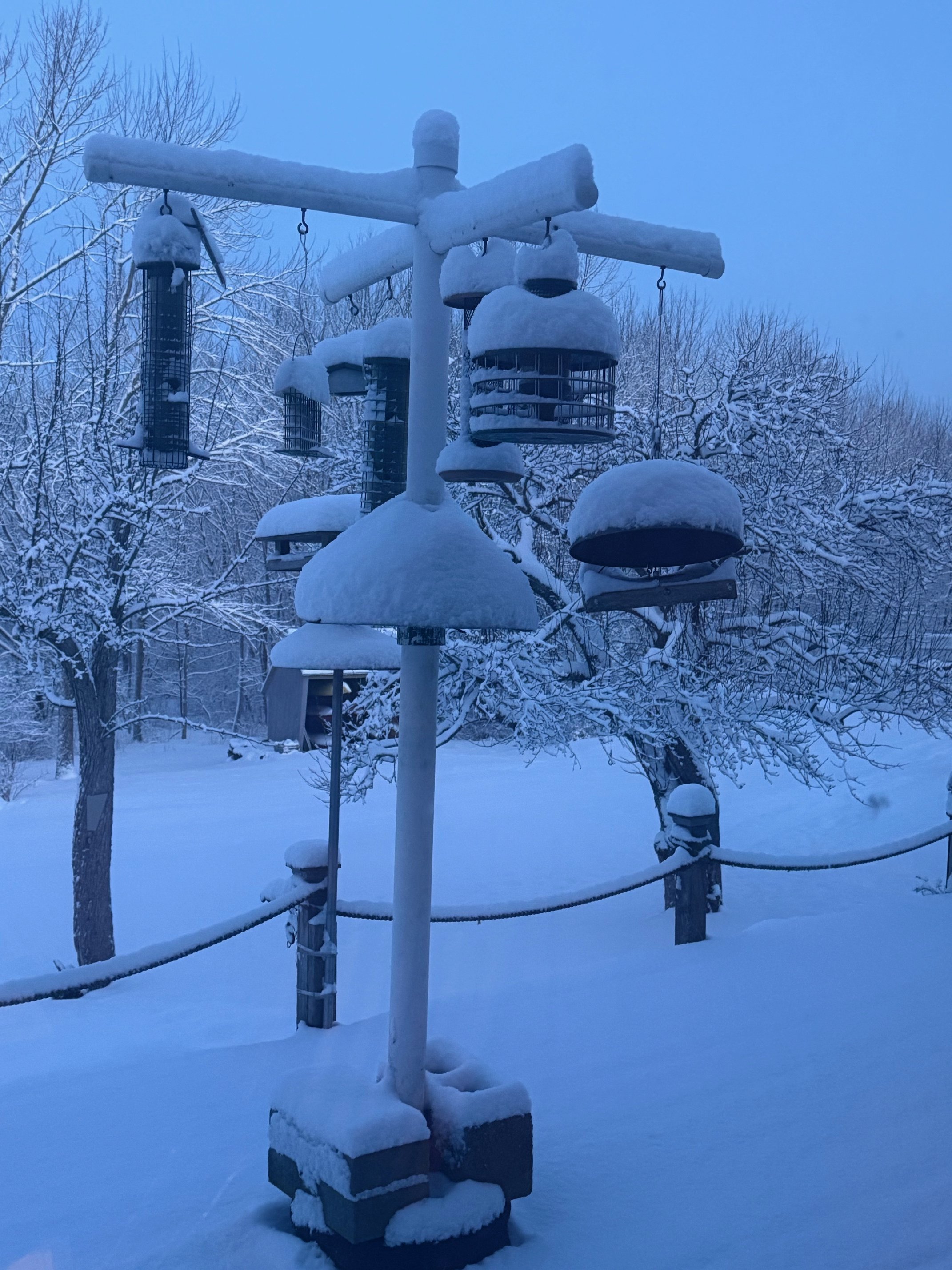 Spring break: Dealing with ‘this hand we’re dealt’ in March