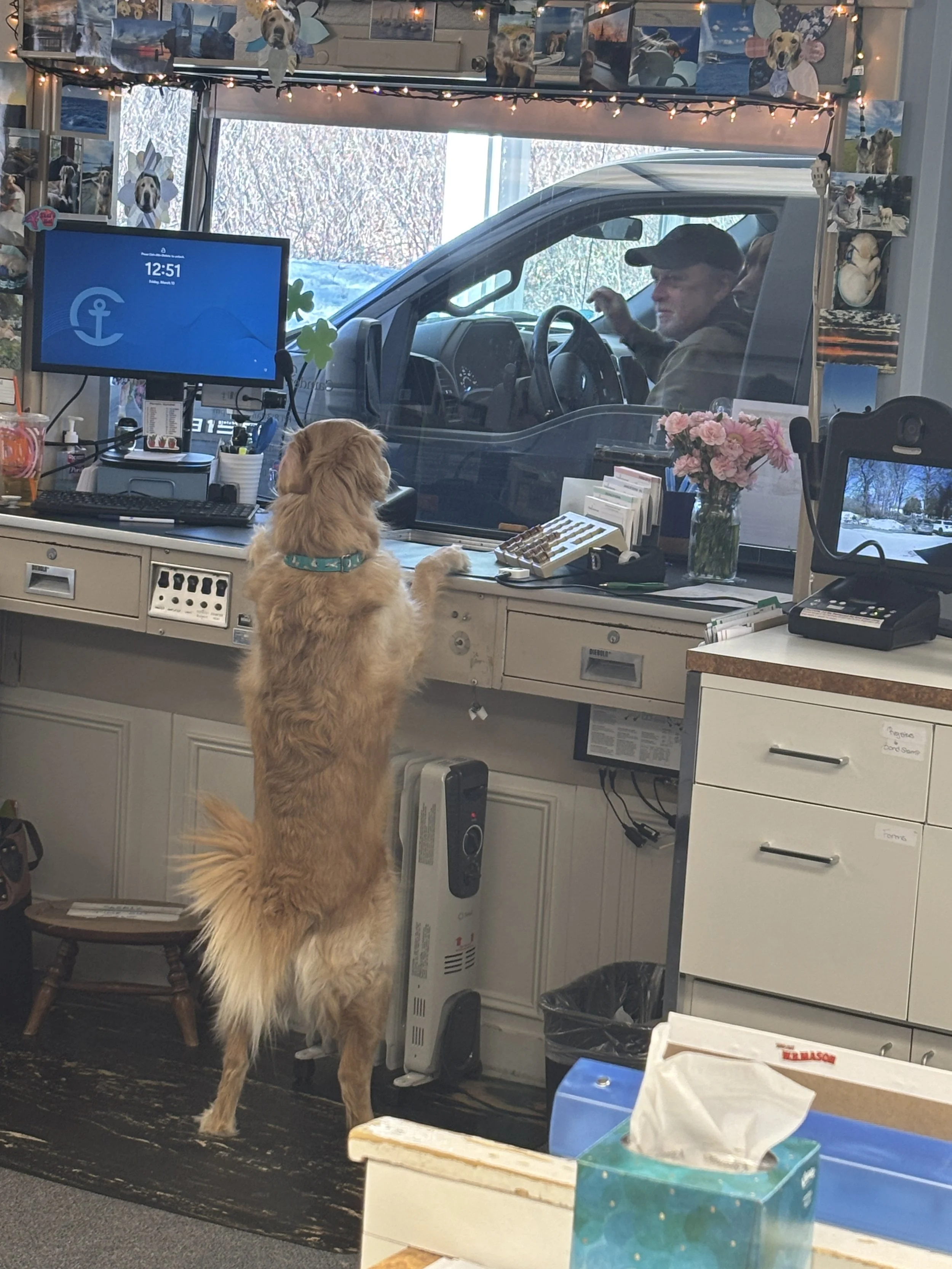 THE U-TURN: Drive-pup teller