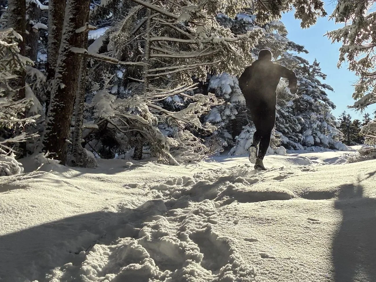 Land trust announces photo winners