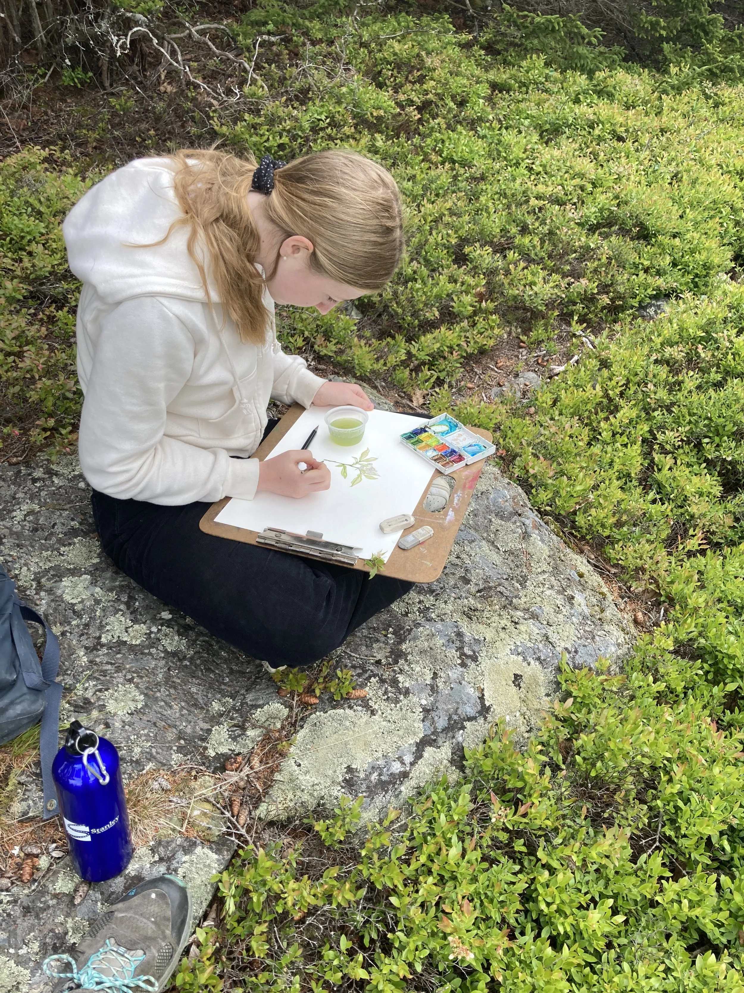 Plein Air Art Meetup - Views of Blue Hill Mountain