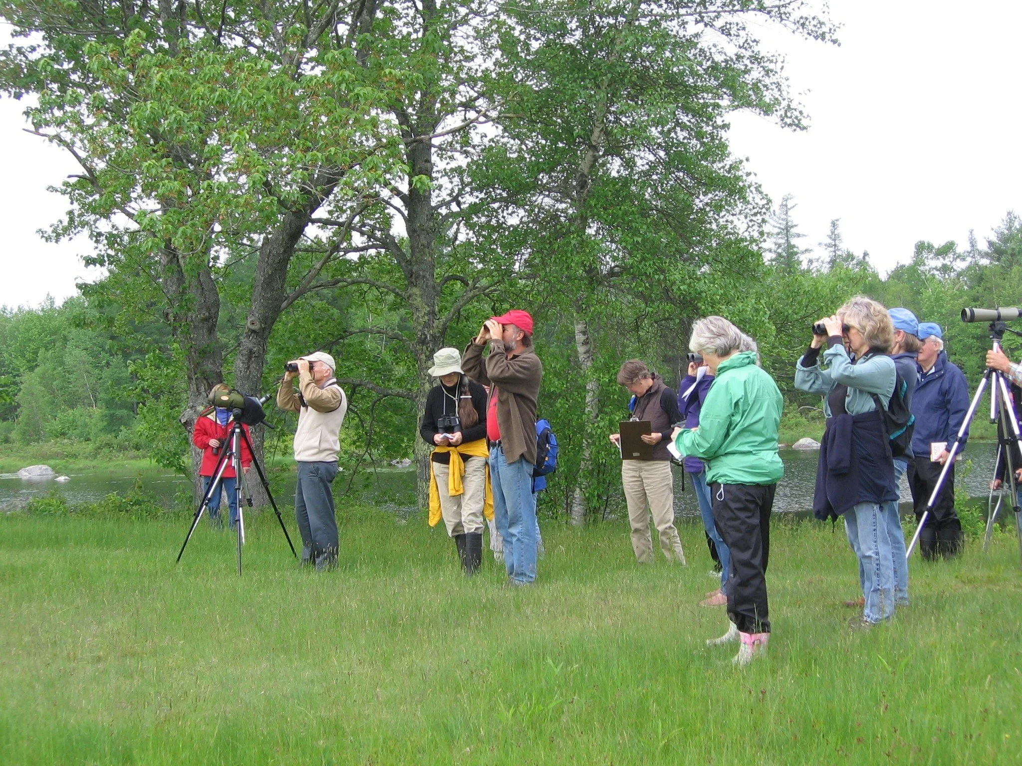 Birding for Beginners