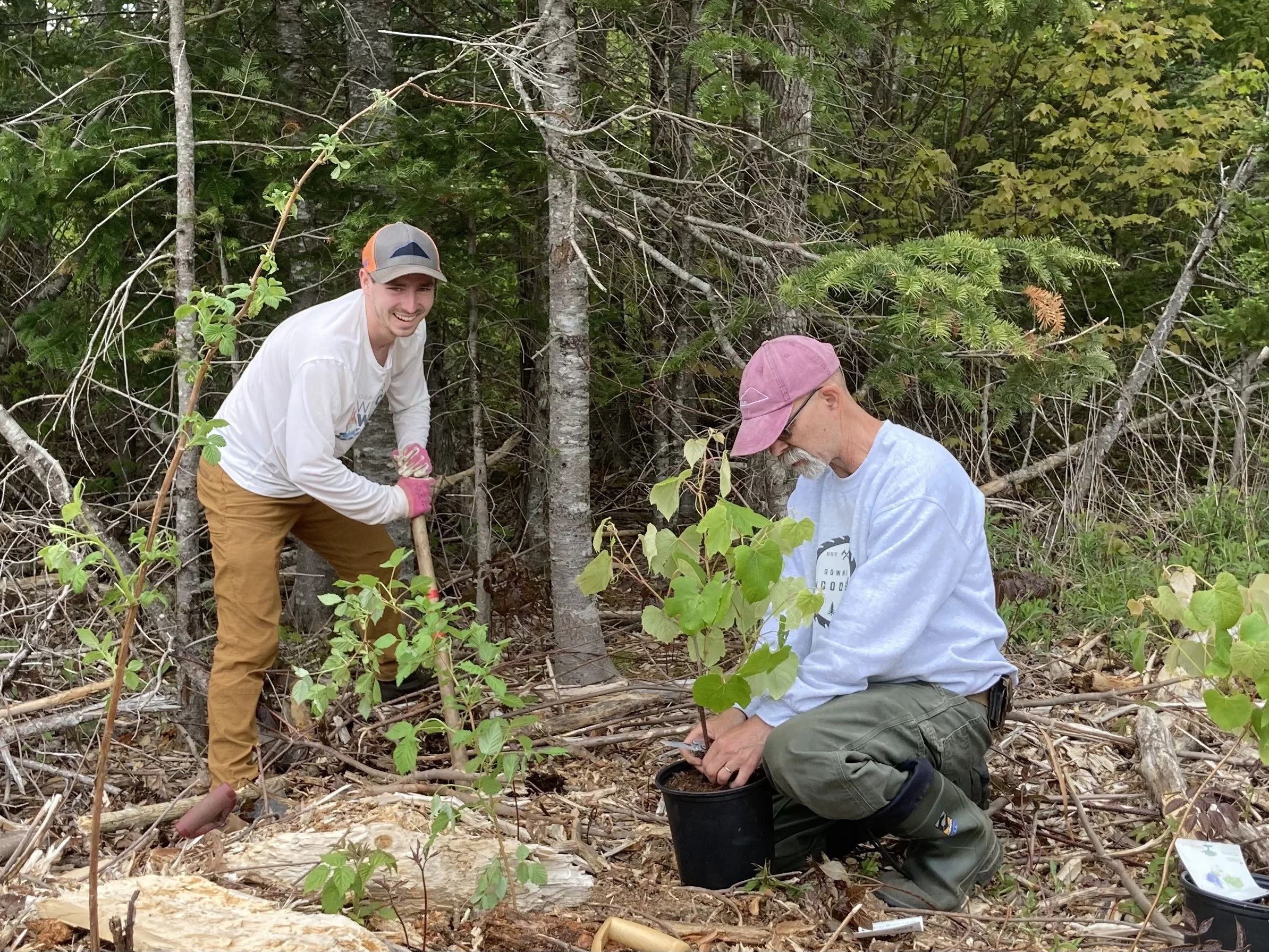 Tree Planting with BHHT