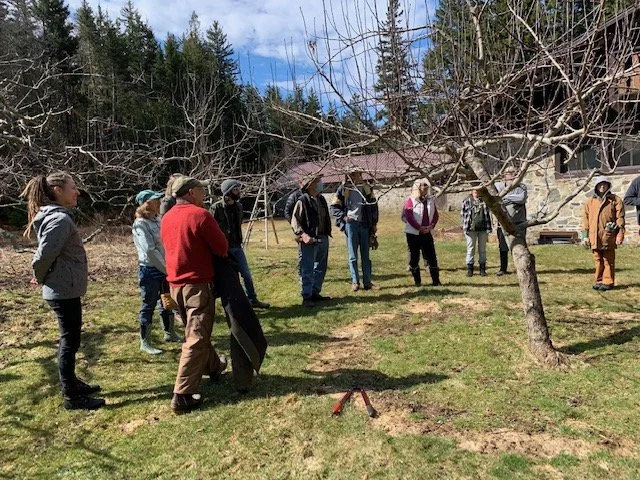 Annual Apple Tree Pruning Workshop