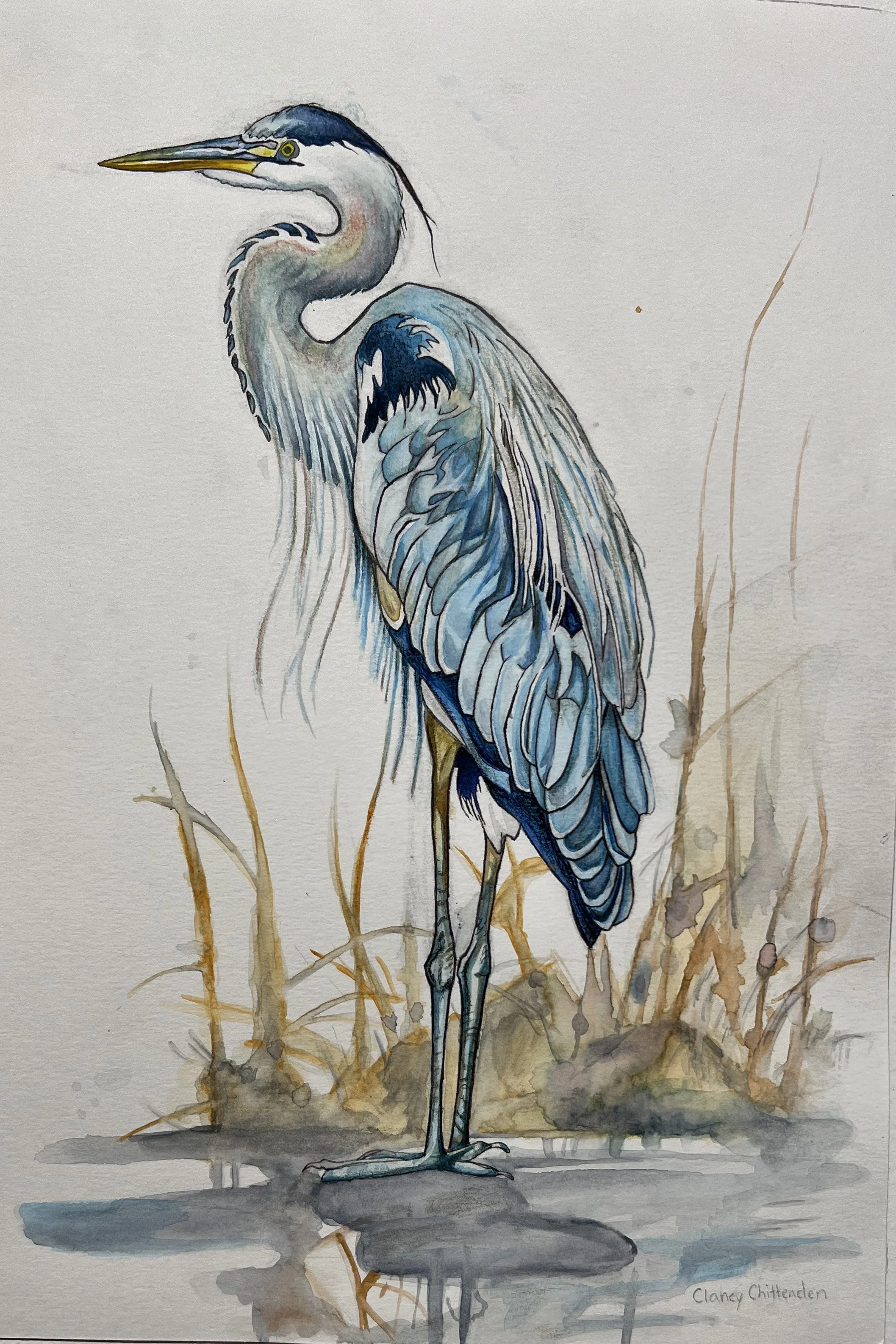 Clancy Chittenden, Bay School