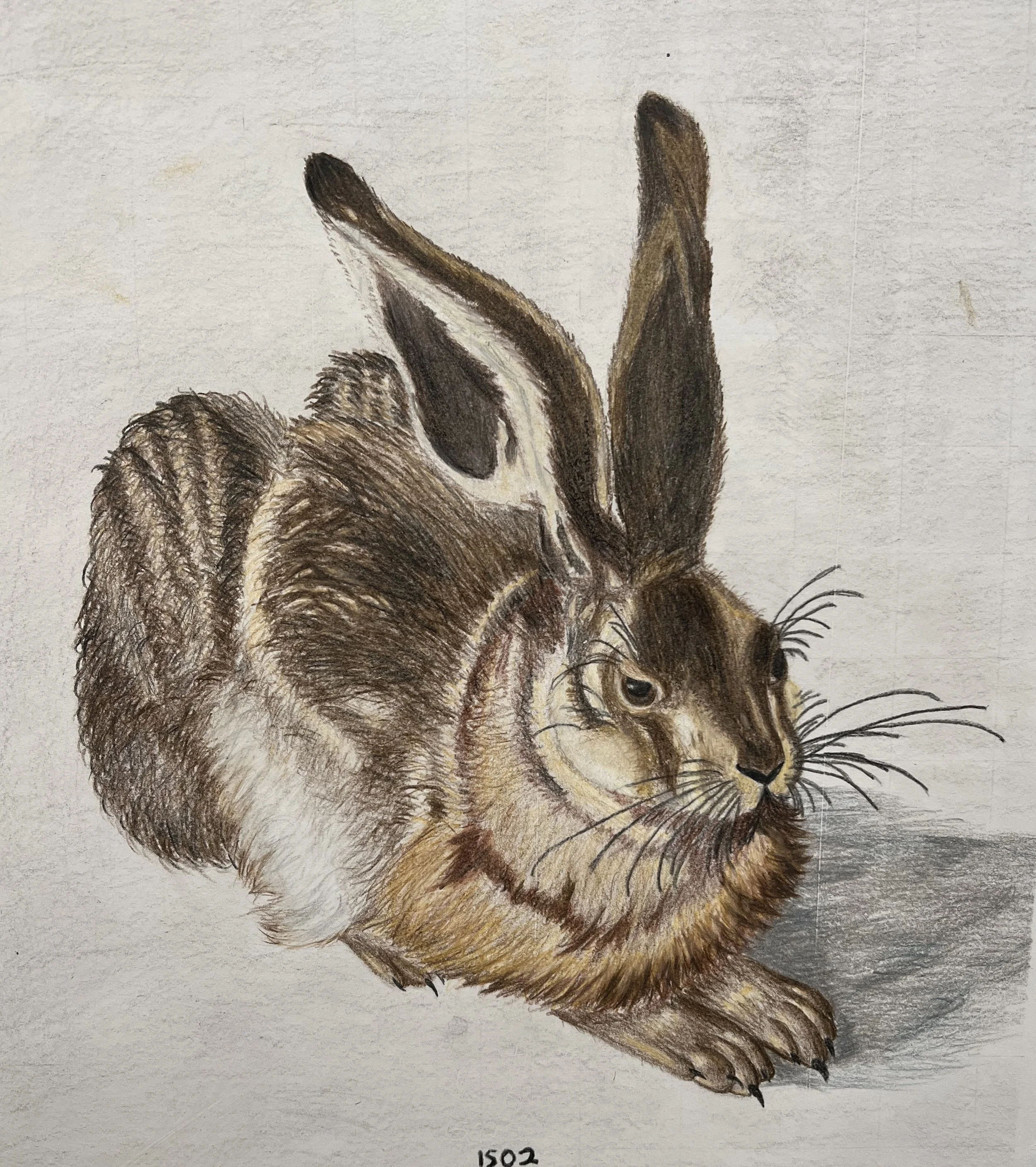 Loretta Dillon, Bay School