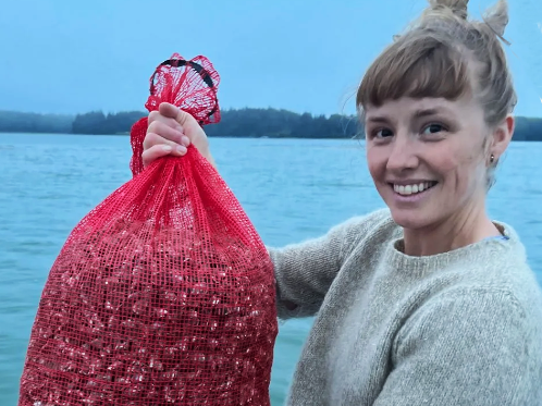 Deer Isle oyster farm plans expansion with 20-year lease