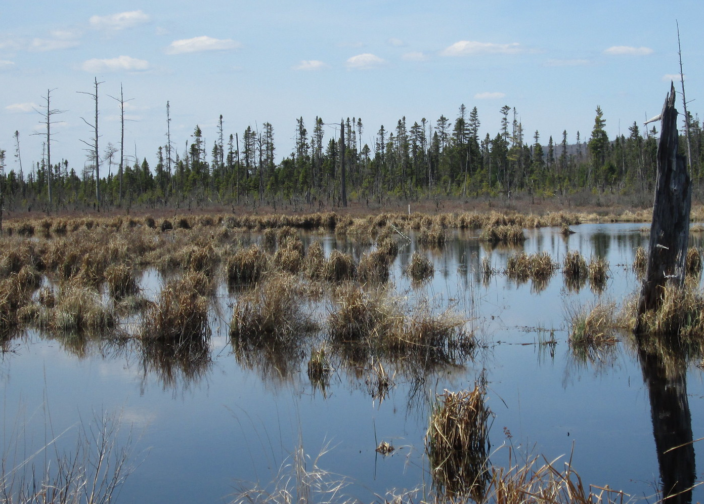 POEM: Sounds of the season are all around us