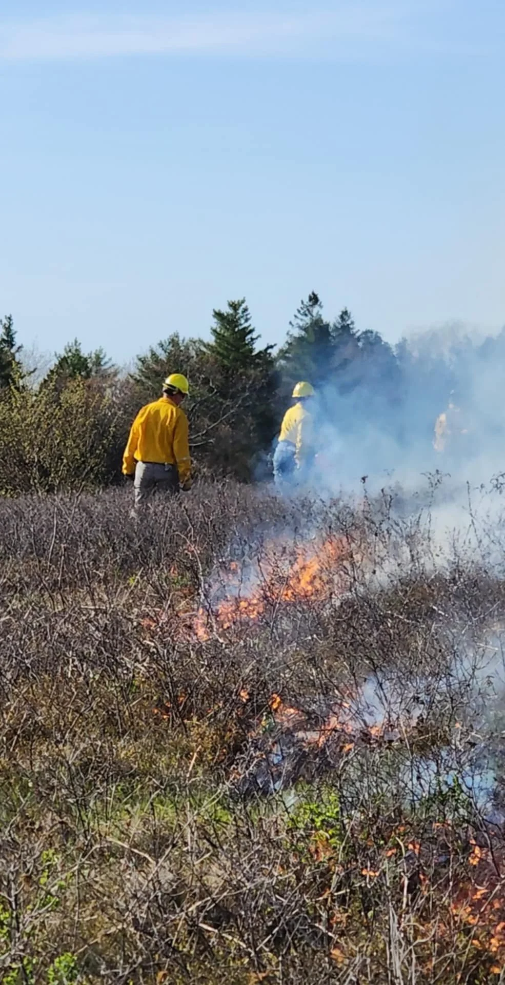 Controlled burn for Wallamatogus Mountain on April 28