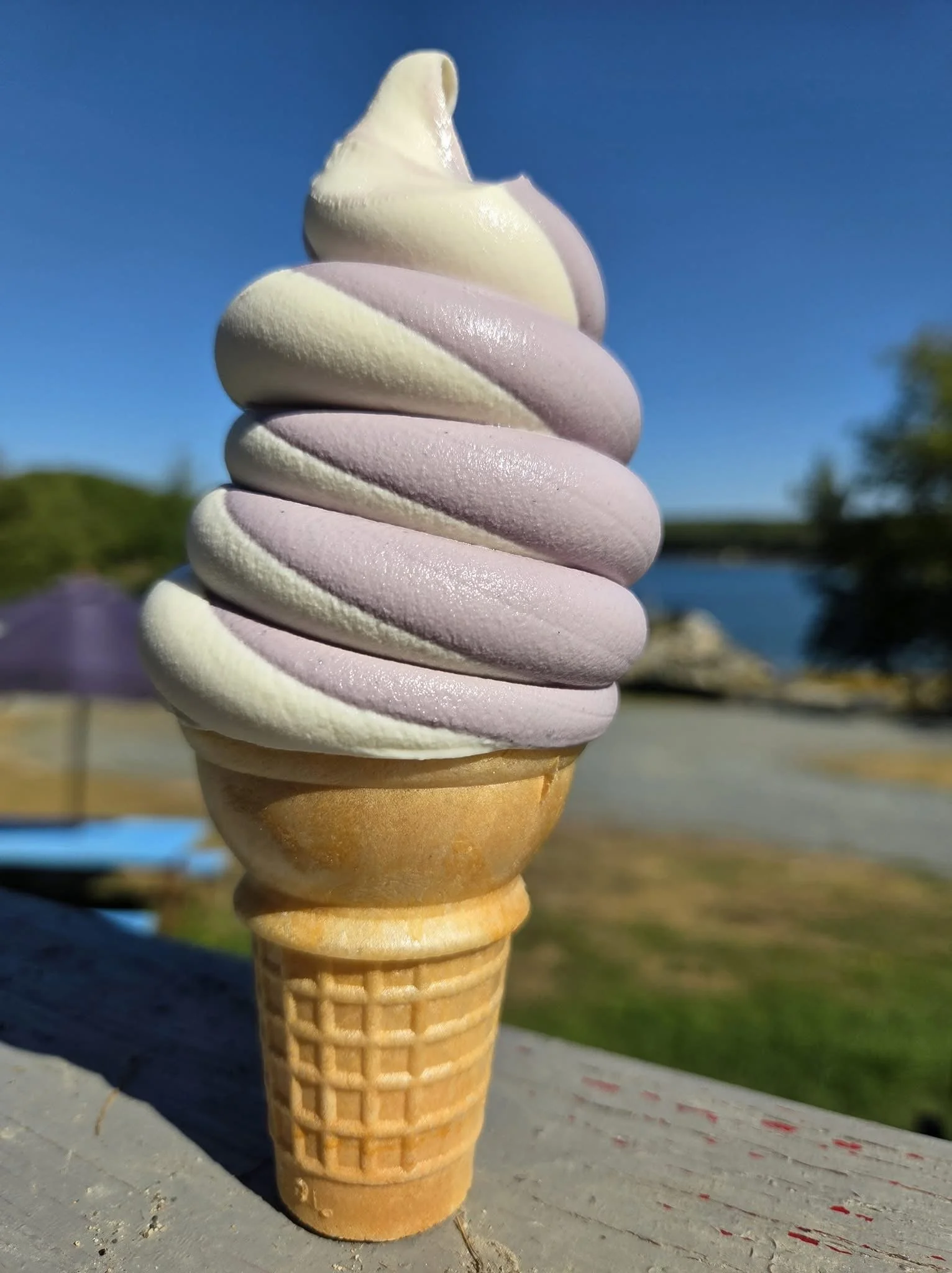 Blueberry twist