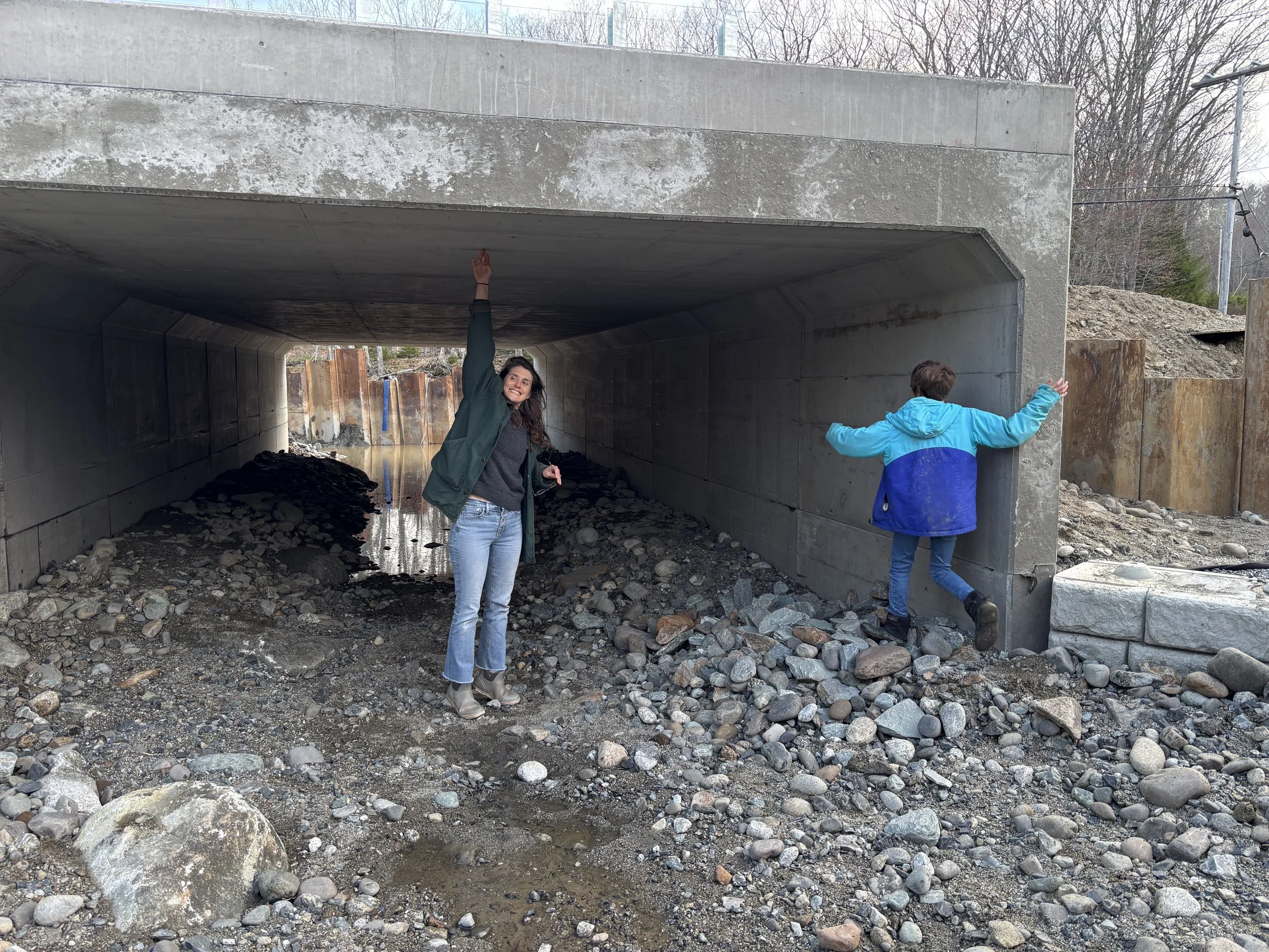 Melissa Hutchins inspects the height of the new culvert.