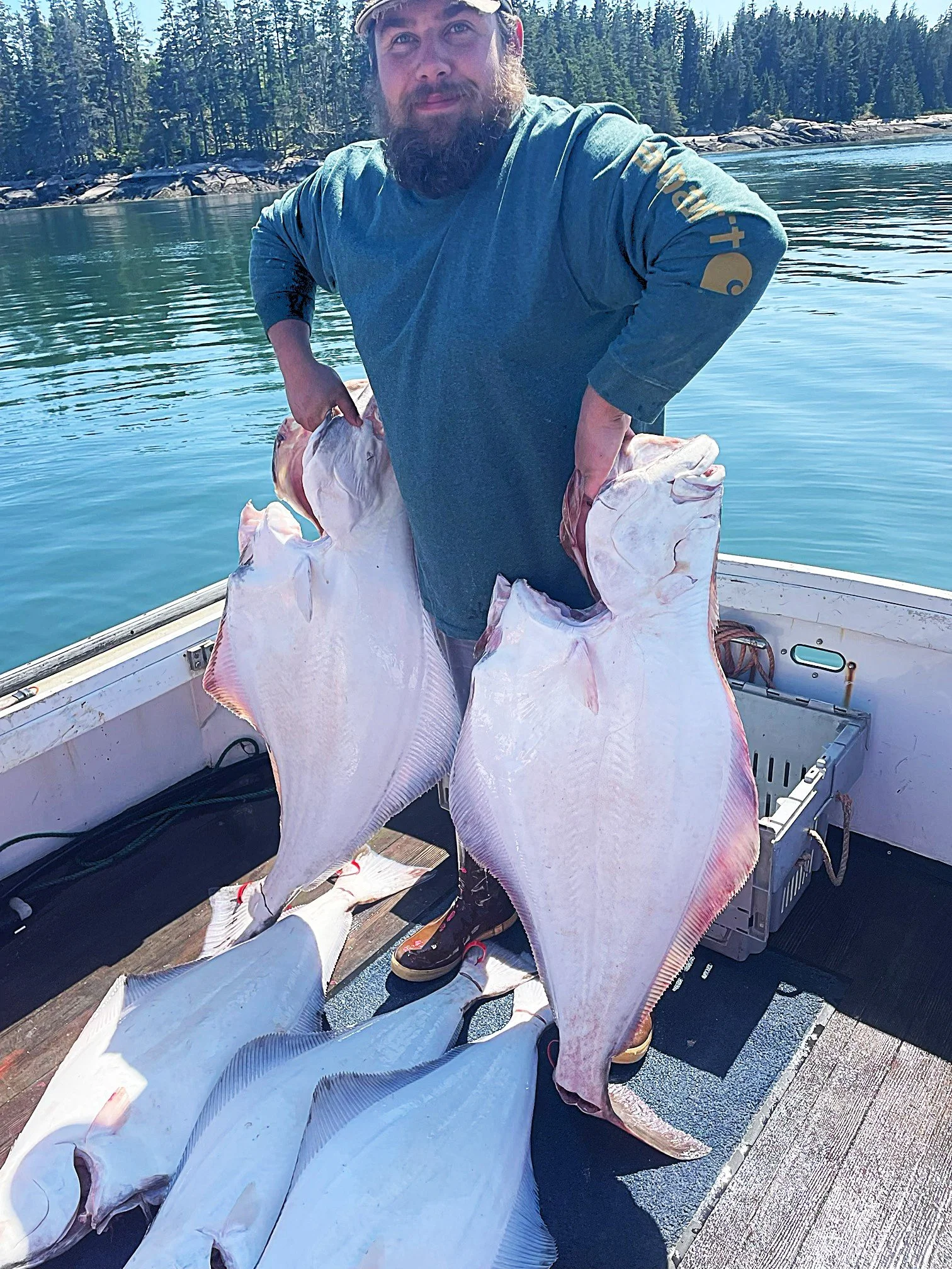 Halibut season opens May 18