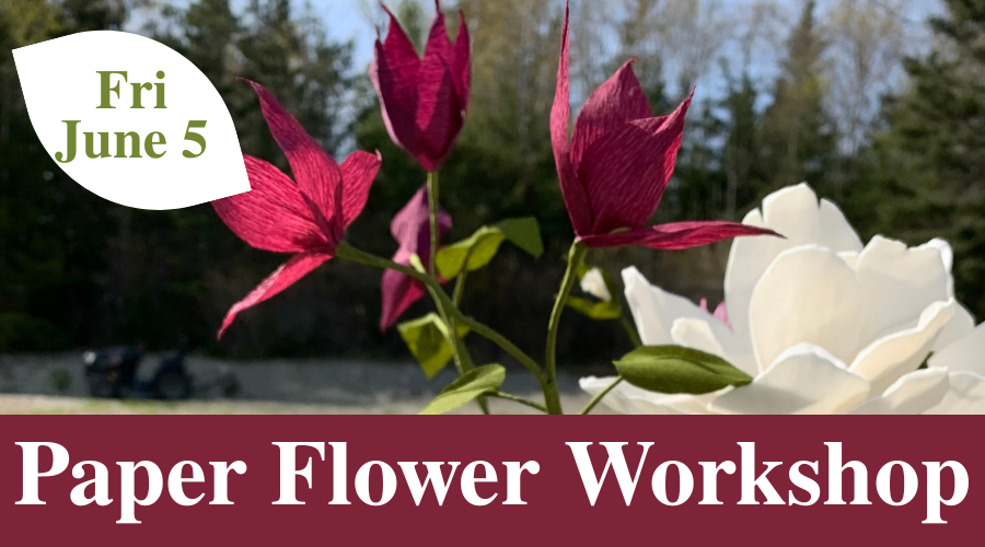 Deer Isle Adult Education: Paper Flower Workshop