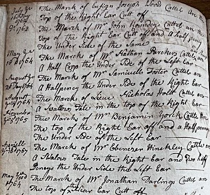 Descriptions of local cattle marks