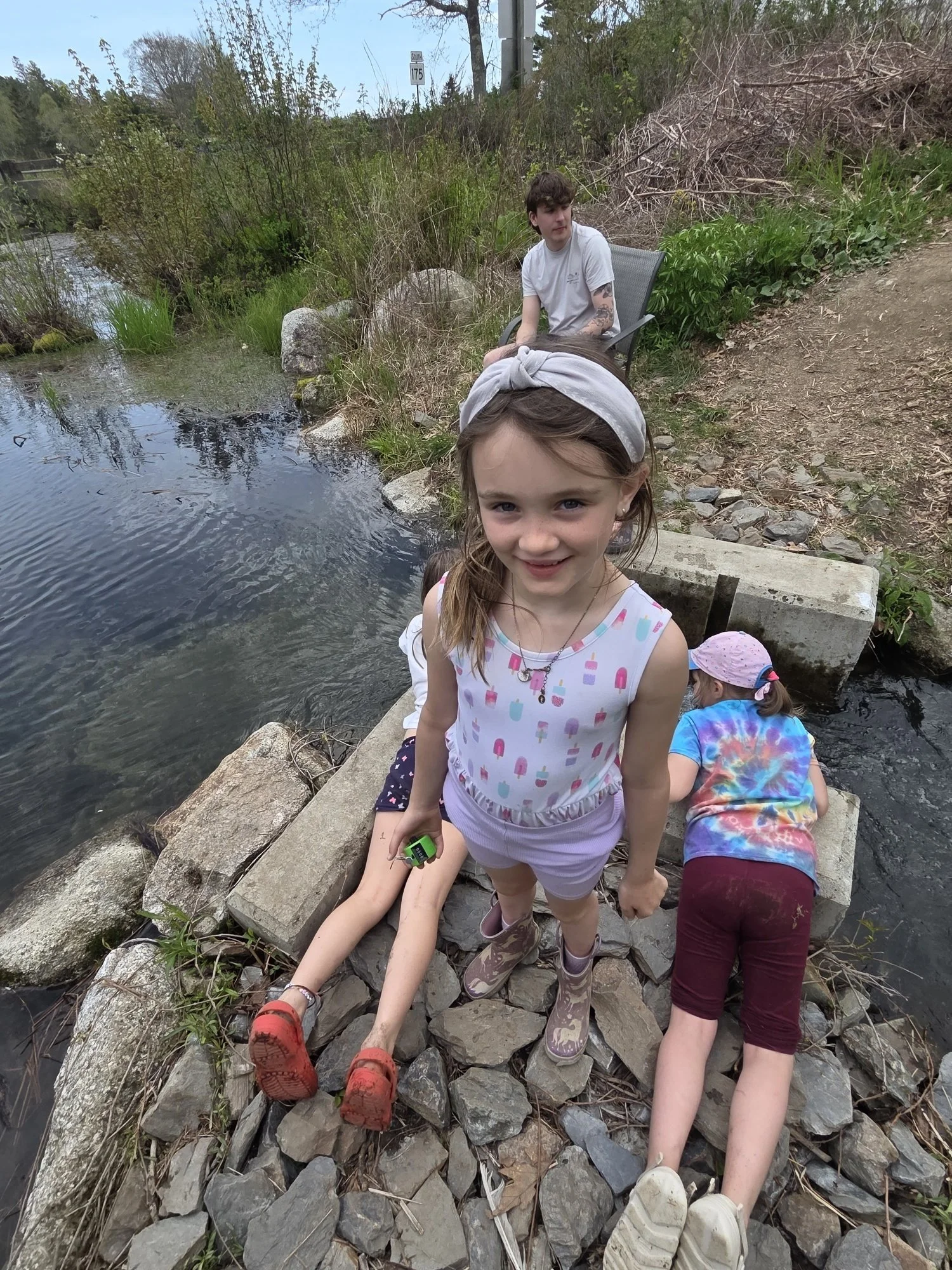 Alewife counting.jpg