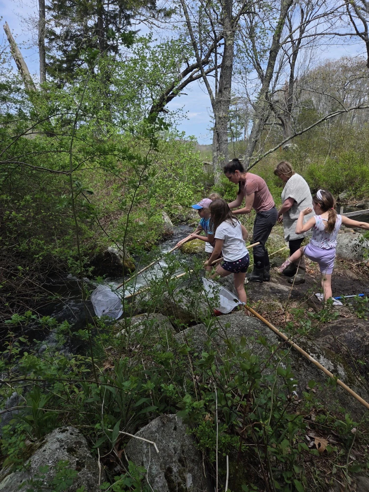 School of fish: Brooksville kids assist in annual alewives count