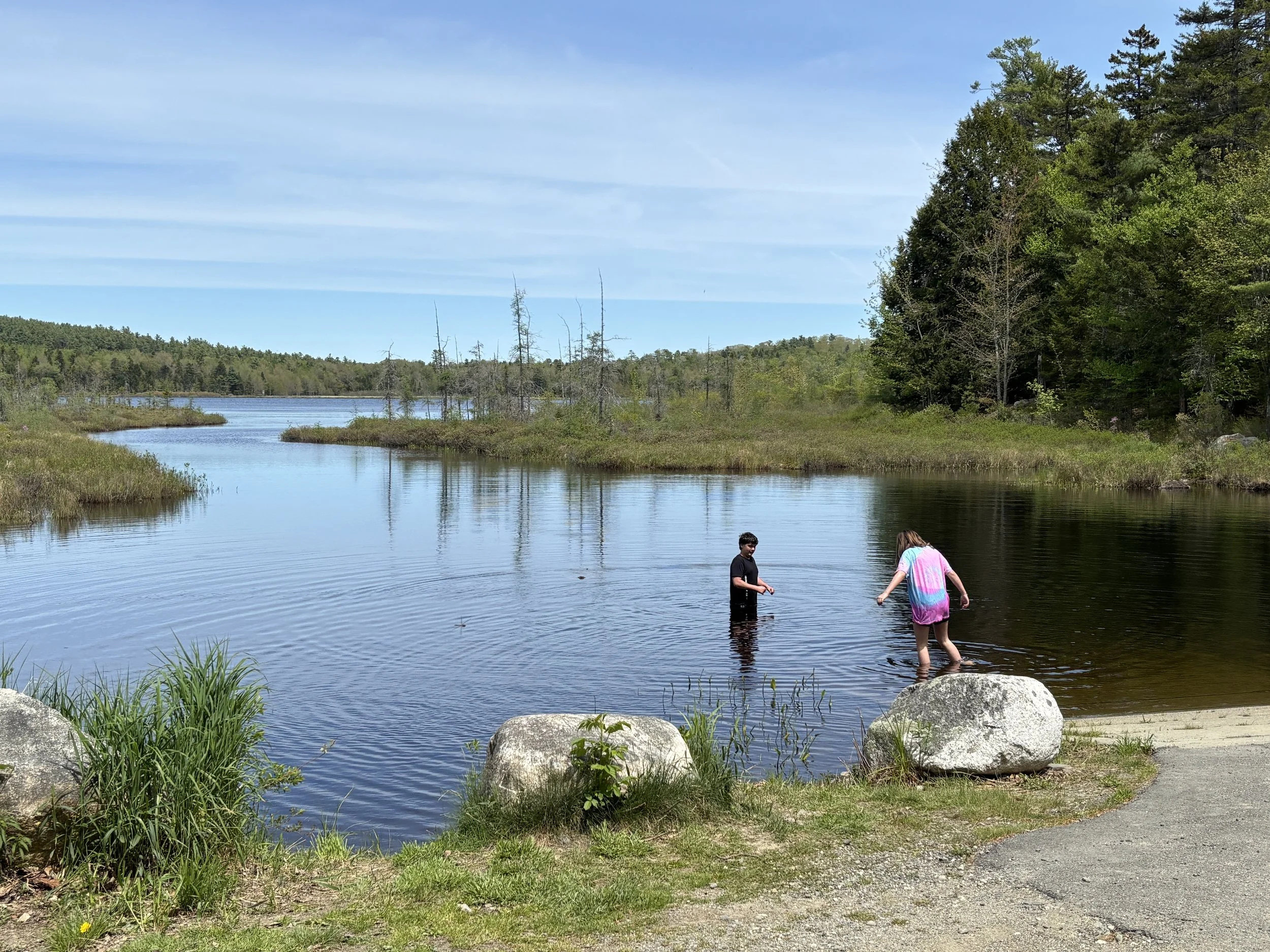 A community celebrates the return of a different kind of summer visitor