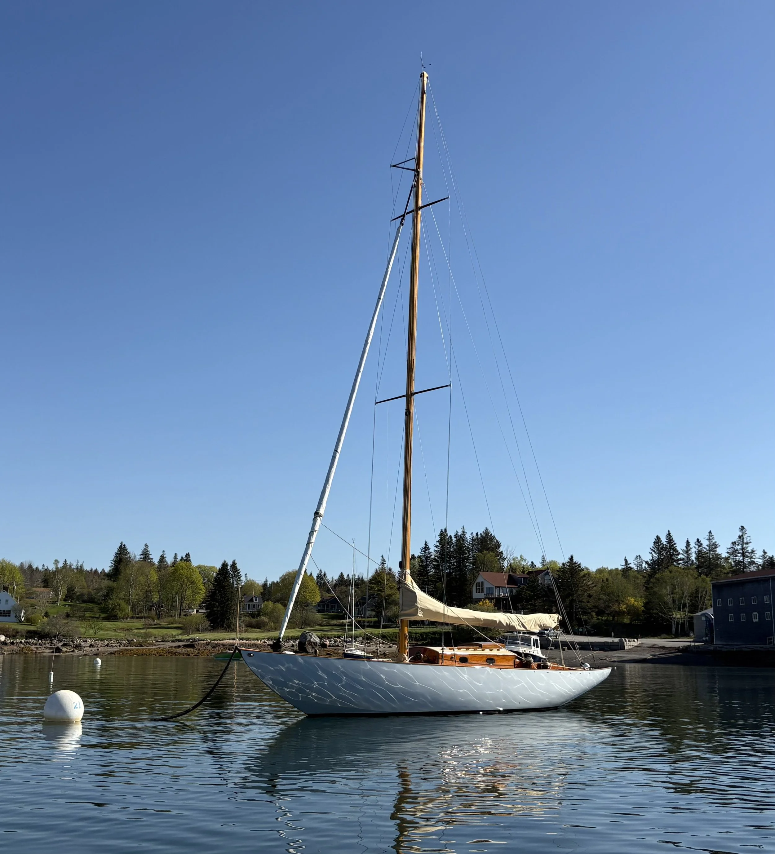Used in a Brad Pitt film and abandoned, a classic sailboat is reborn