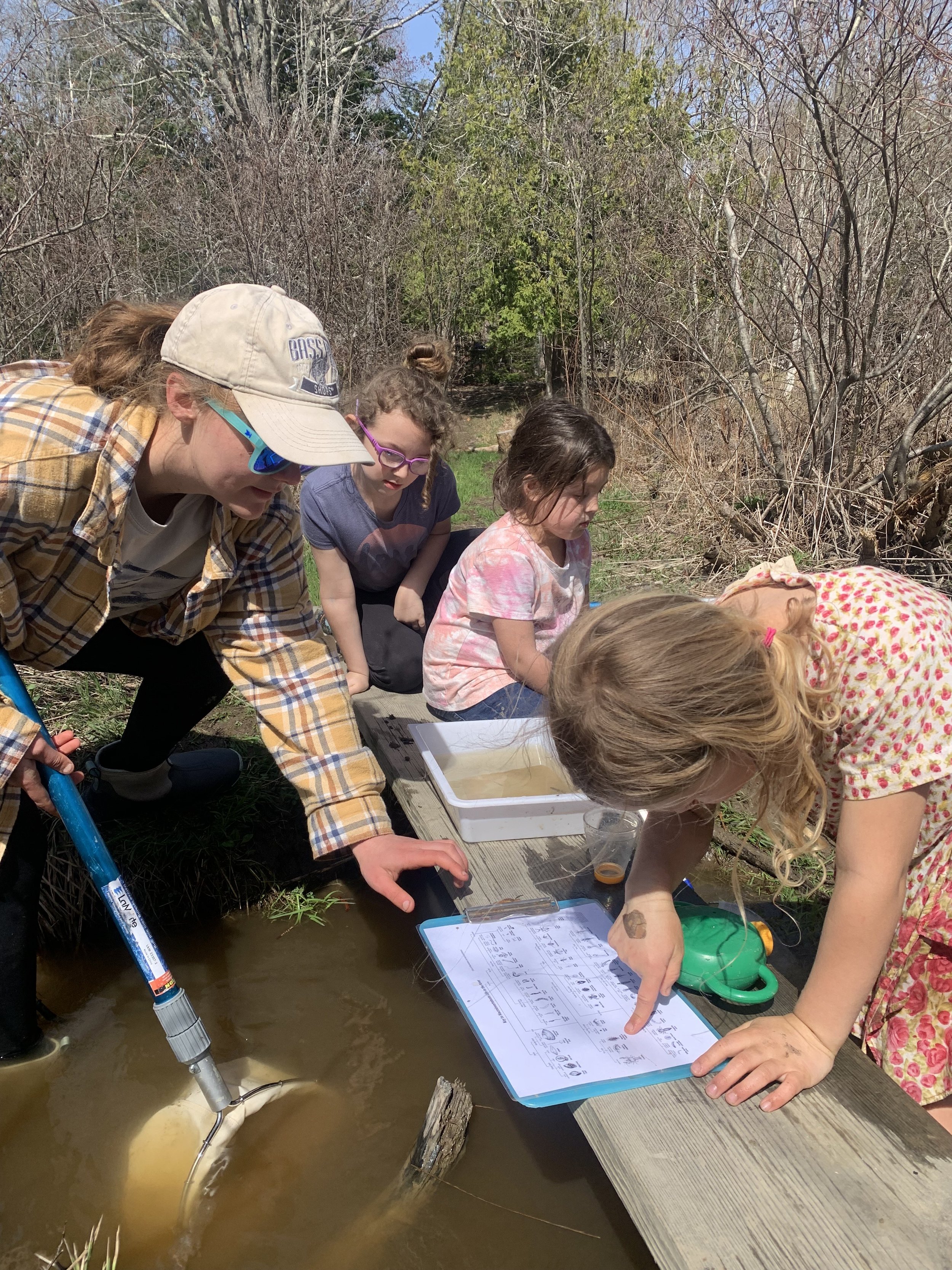 Fun With Freshwater Macroinvertebrates!
