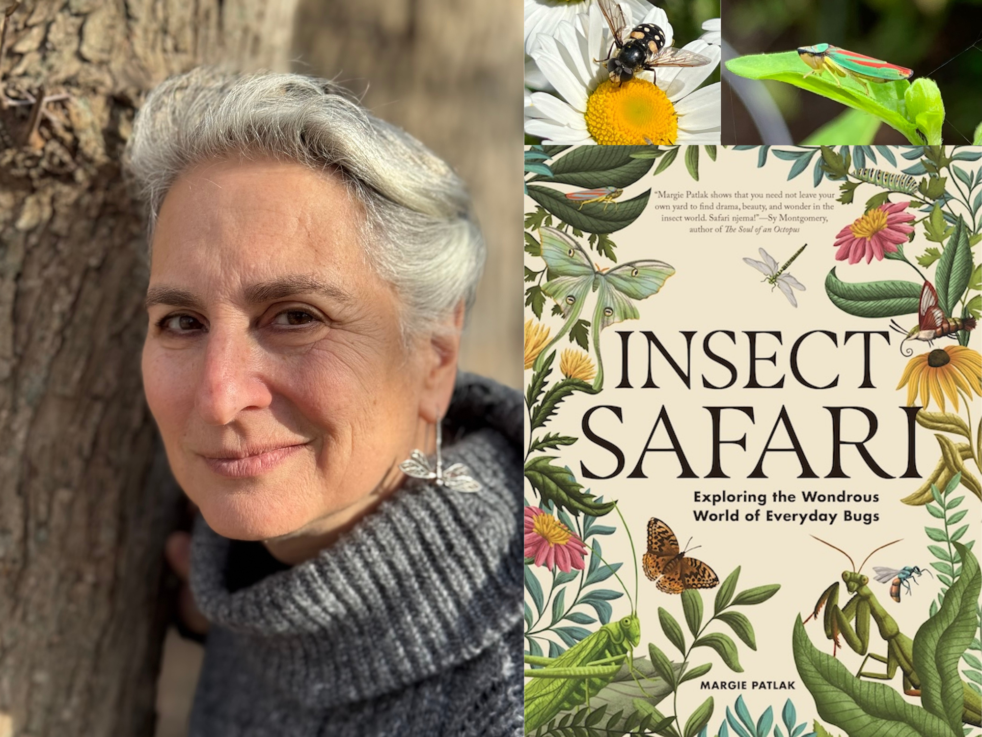Author Event: Margie Patlak, “Insect Safari”