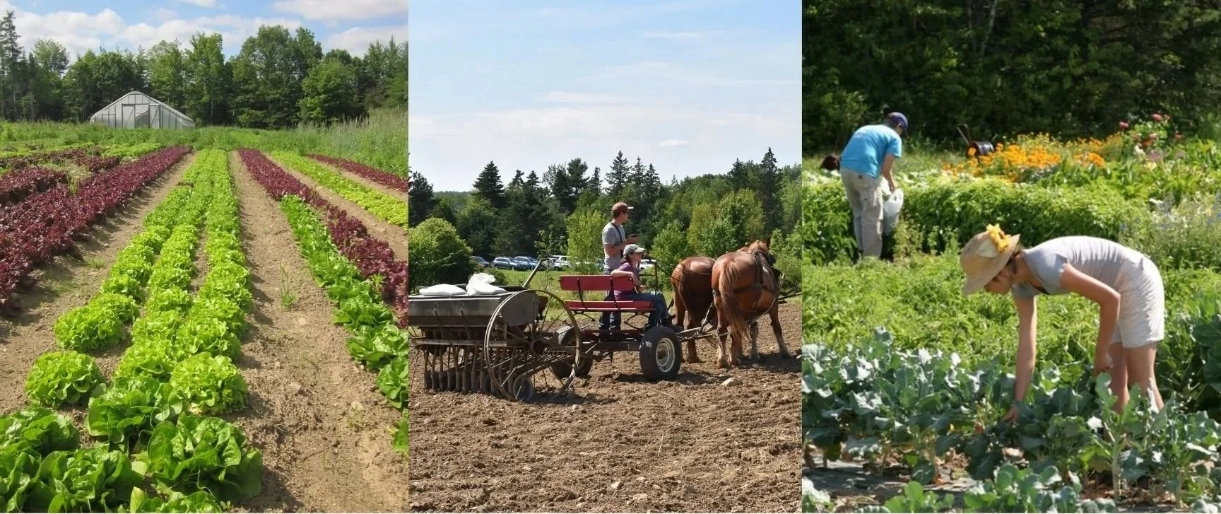 Blue Hill Heritage Trust-Farmland Forever Benefit Dinner