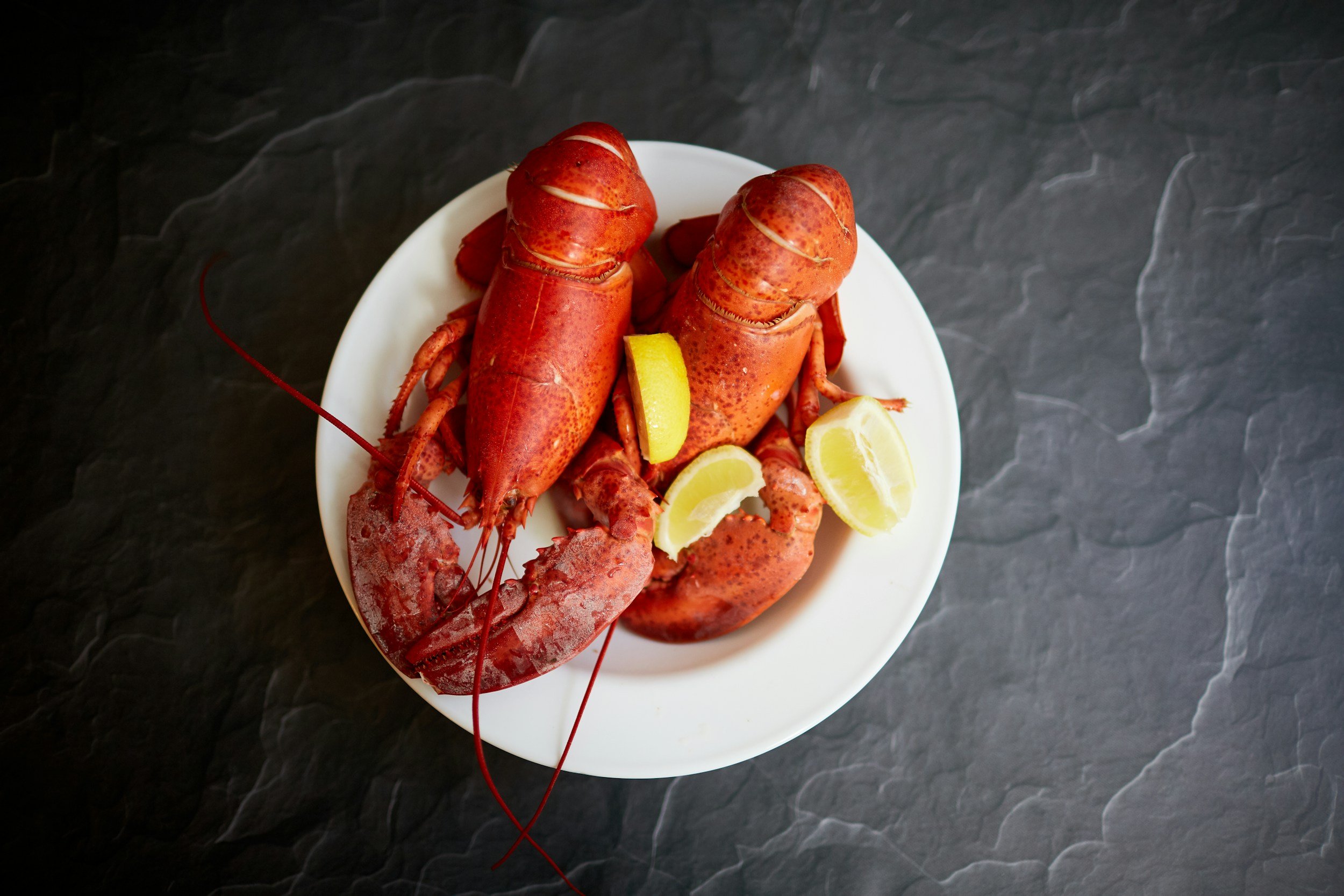 Brooksville Community Center Lobster Bake