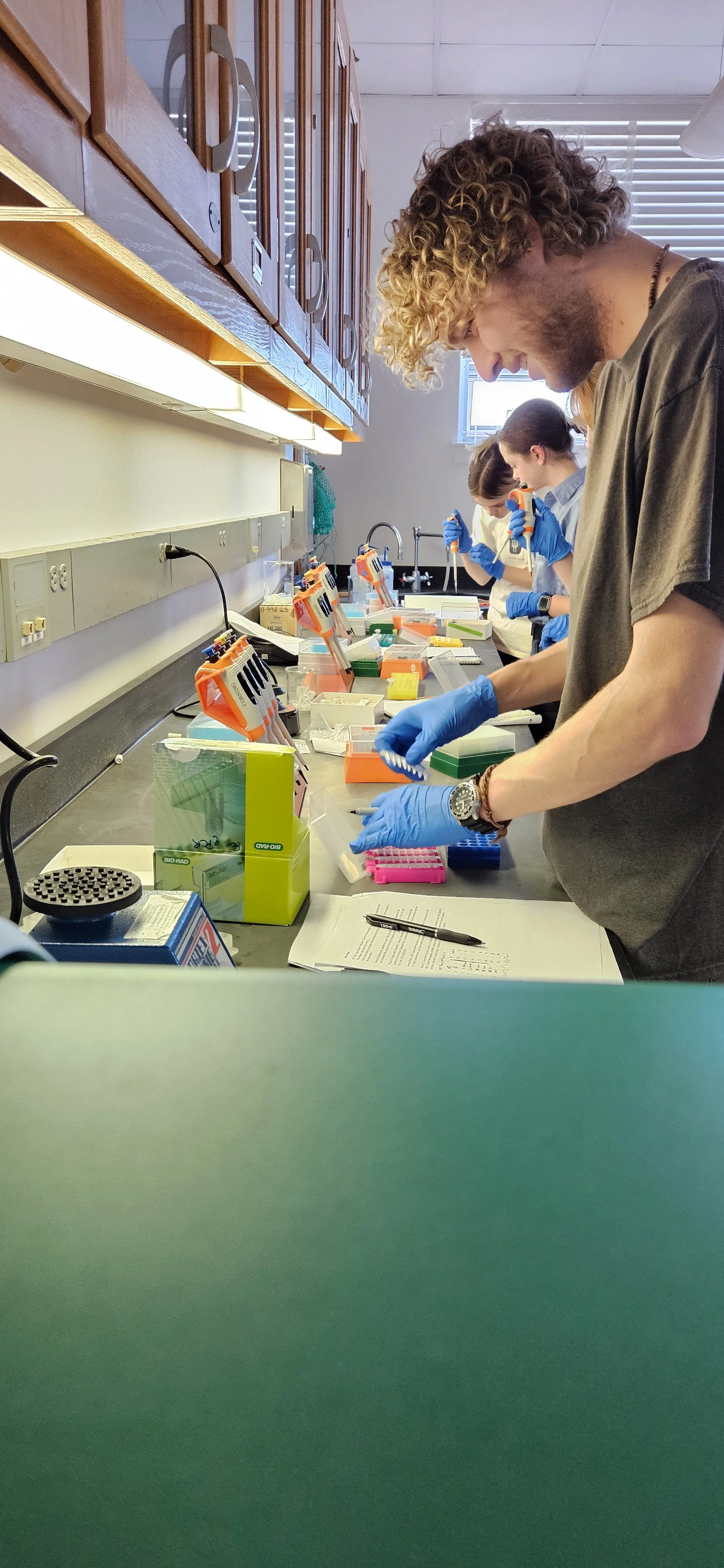 Lab analysis.jpg
