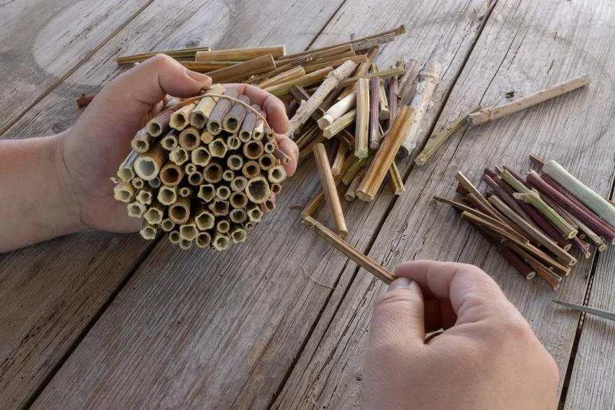 Building Bee Boxes