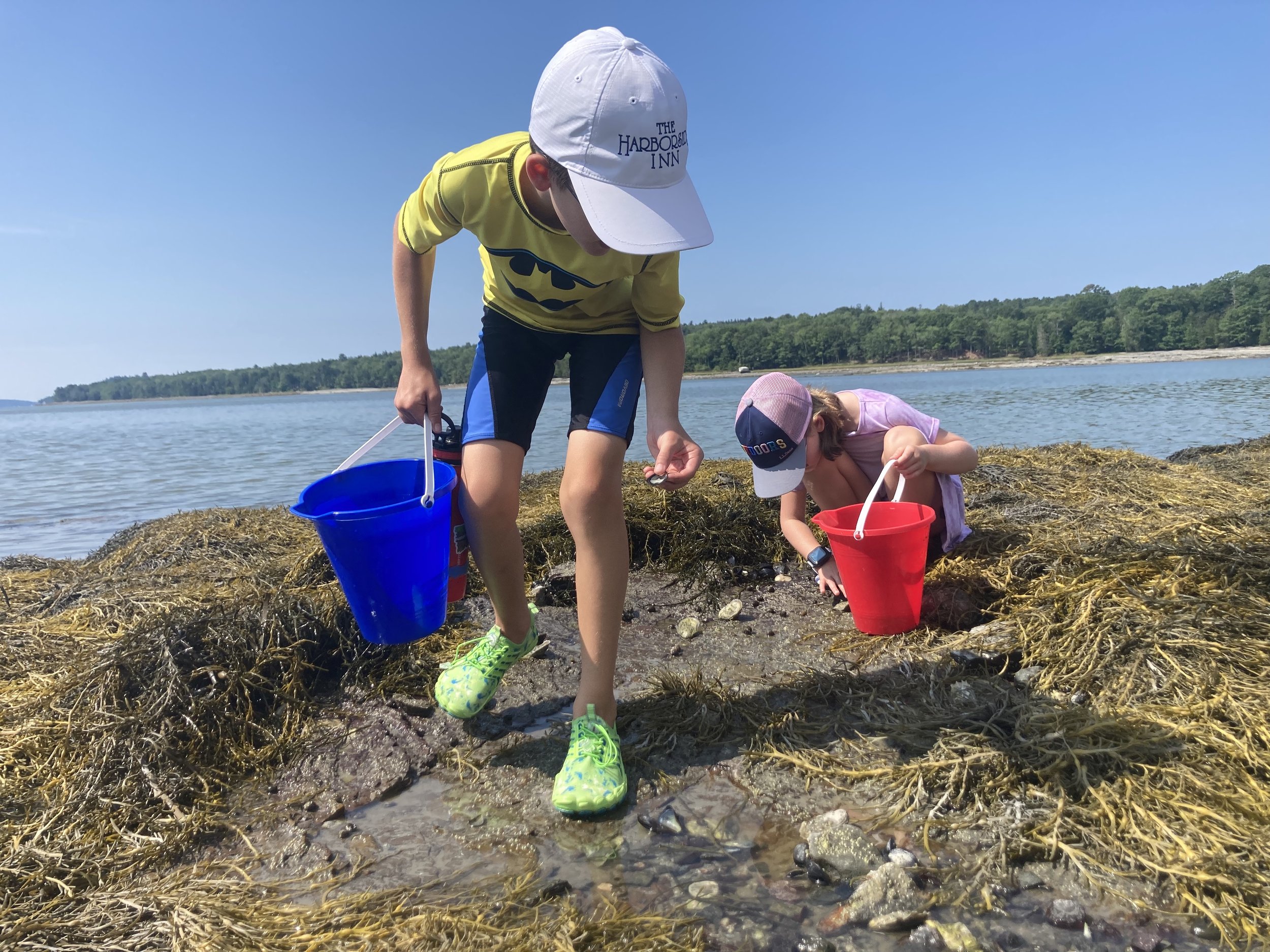 Tide Pools with Blue Hill Heritage Trust and Witherle Library!