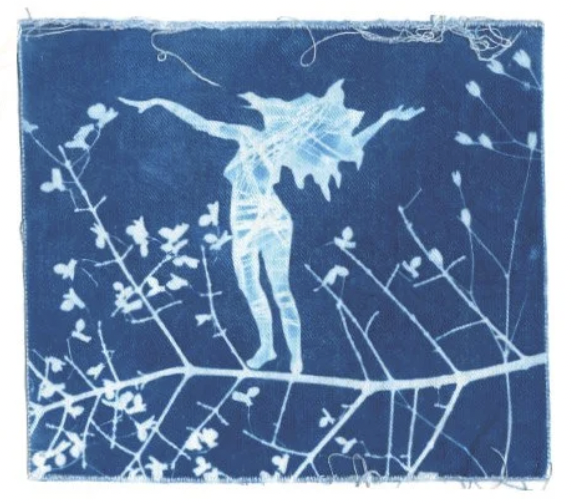 Introduction to Sun Printing on Fabric (Wet Cyanotype) with Edner Fago